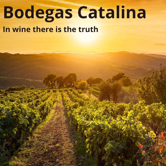 TCC-website-Projects-Bodegas_Catalina