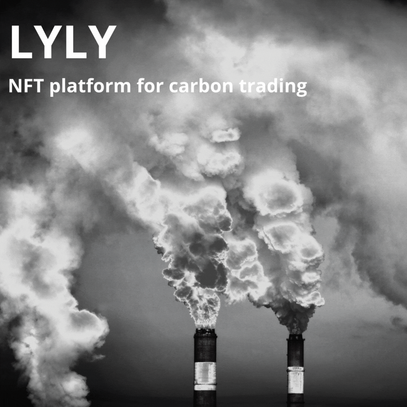 TCC-website-Projects-LYLY